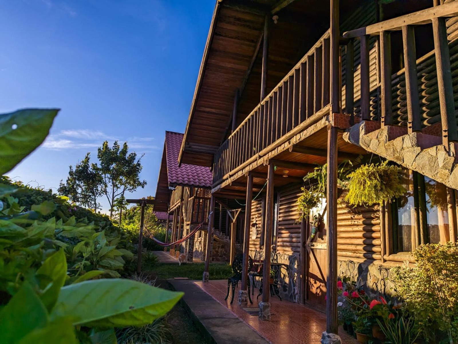 Cabanas San Rafael Palmares  Eksteriør billede